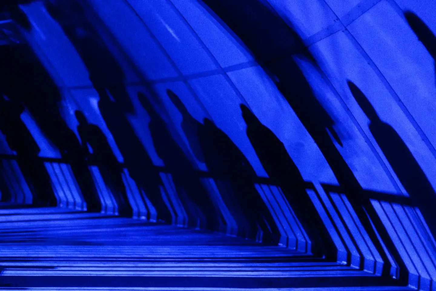 153-coupole_chessu_opening_1_dave_schnell_58.webp?v=1-0